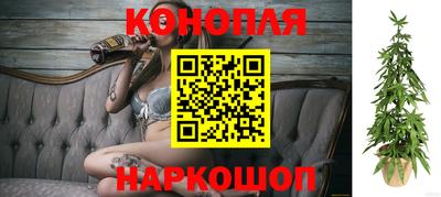 спайс Пугачёв